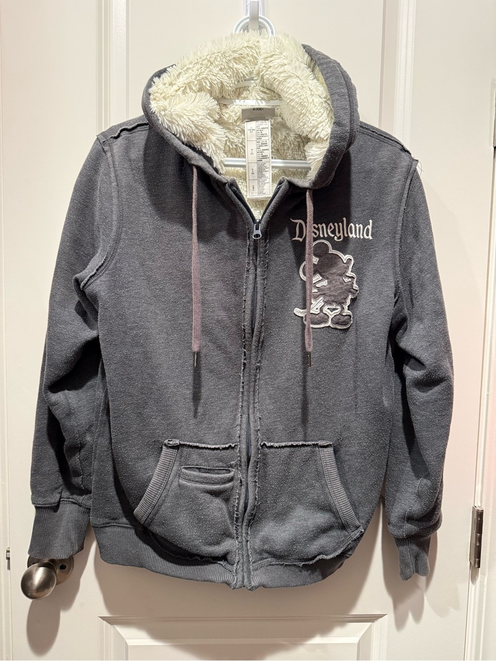 Women’s Cozy Disneyland Sweatshirt
